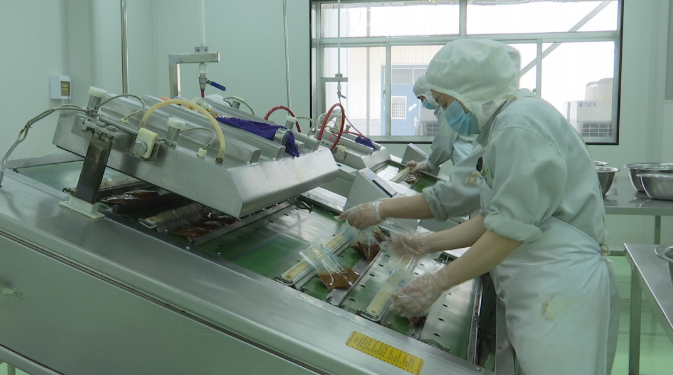 平泉市 以特色资源为基，聚力食用菌产业升级与销售拓展