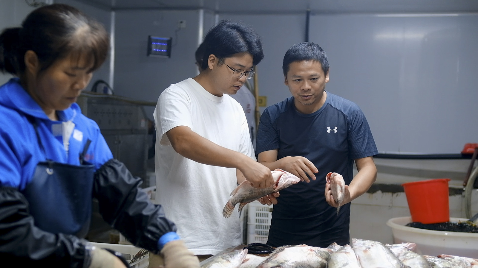 扎根乡土，引领潮流 彭林荣获全国高校毕业生基层就业卓越奖