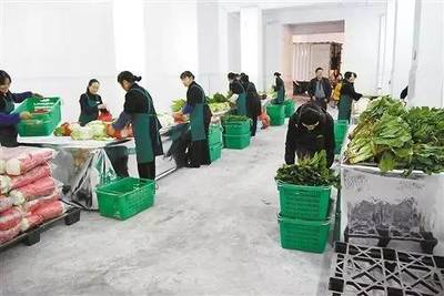 农产品四大流通模式深度解析 机遇、挑战与未来展望