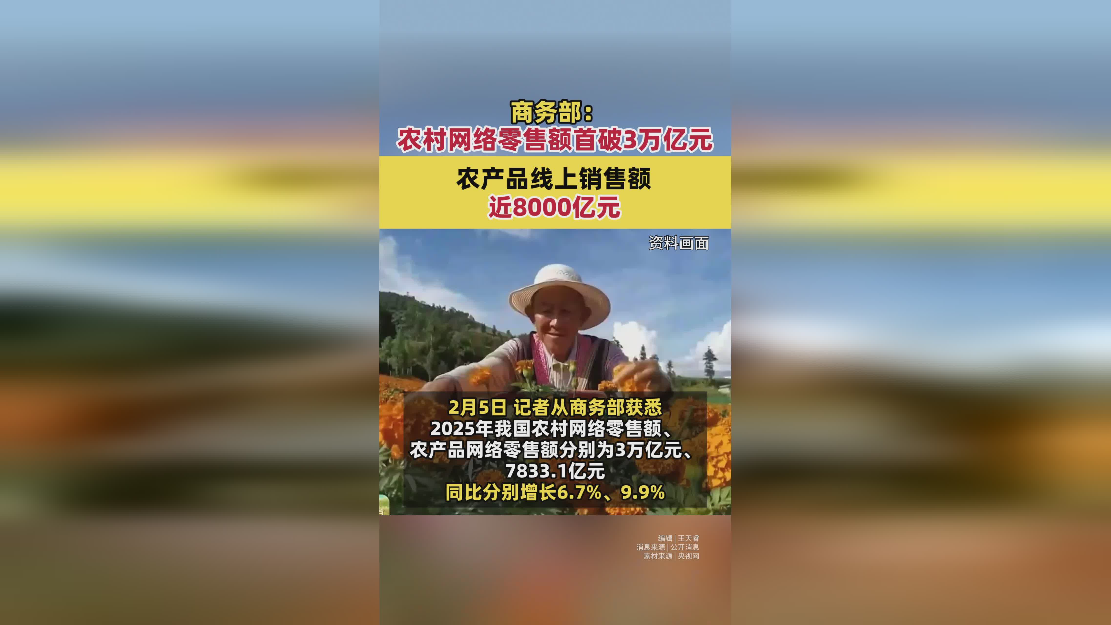 电商下沉、活力迸发 农村网络零售额突破3万亿背后的农产品上行密码