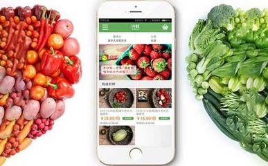 农产品销售APP定制开发对农民的重要意义分析