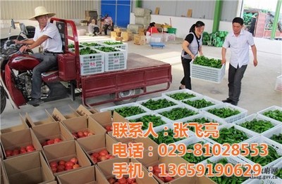 西安袋鼠农产品销售 专业、便捷、高品质的农产品服务平台